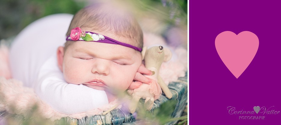 Babyfotografie