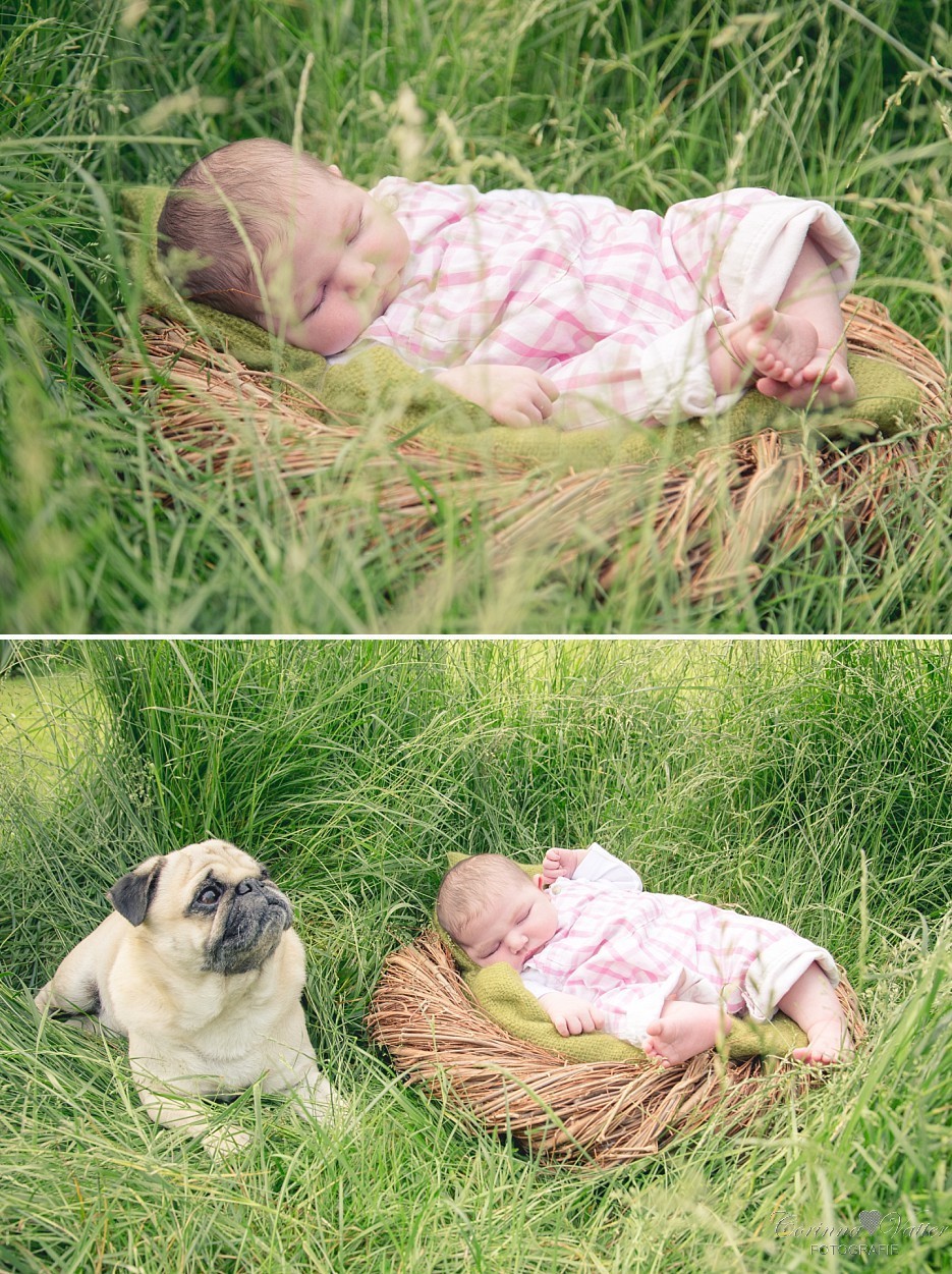 Babyfotografie