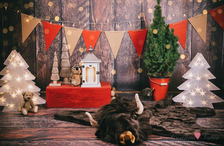 Fotograf-Weihnachten