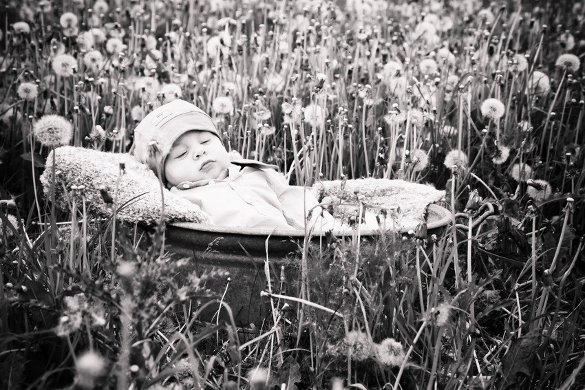 Kinderfotografie Düsseldorf