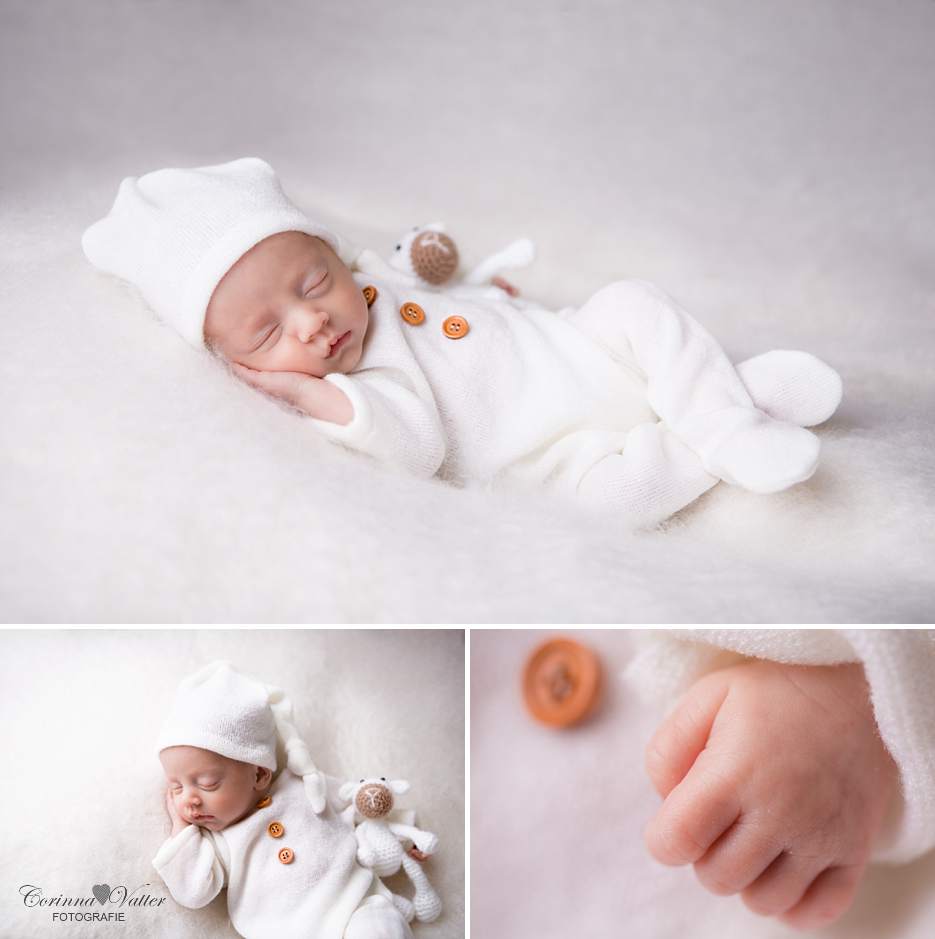 Fotografin für Babybauch-, Babyshooting 